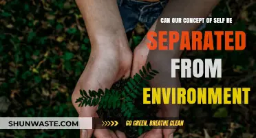 Self and Surroundings: Are We Separate from Our Environment?