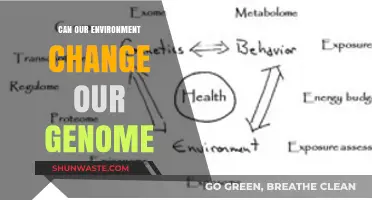 Environmental Influence: Can Our Surroundings Alter Our Genetic Blueprint?