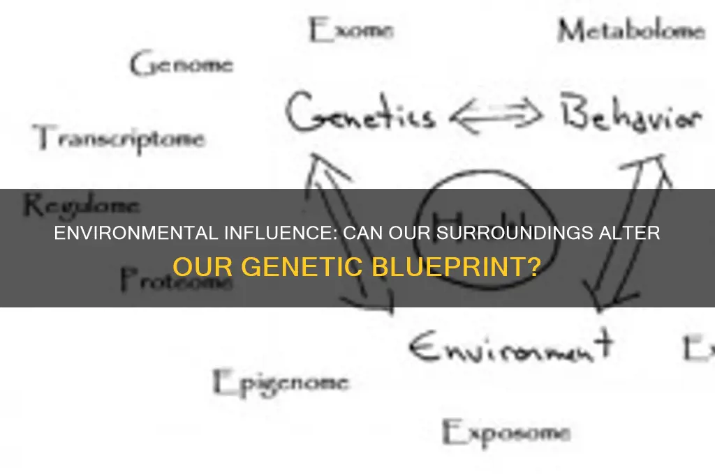 can our environment change our genome