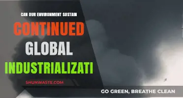 Can Earth's Ecosystems Endure the Pace of Global Industrialization?