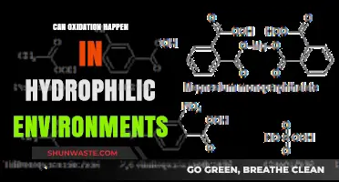 Oxidation in Hydrophilic Environments: Exploring the Possibility and Mechanisms