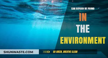 Exploring Oxygen's Presence: Its Role and Sources in Our Environment