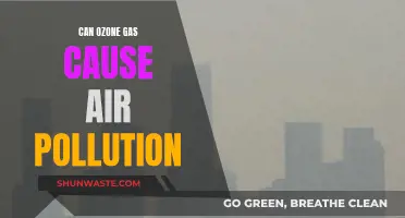 Ozone Gas: Friend or Foe in the Air We Breathe?