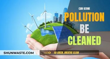 Ozone Pollution: Cleaning the Unclean?