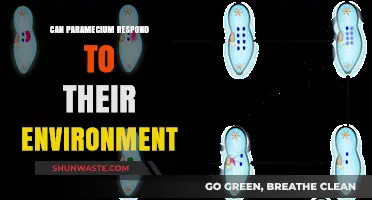 How Paramecium Sense and React to Environmental Changes Around Them