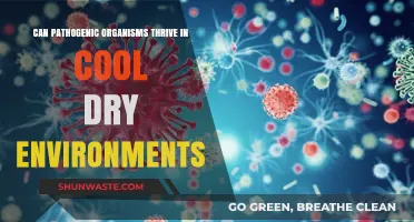 Cool, Dry Climates: Ideal for Pathogenic Organisms to Flourish?