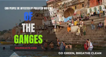 Ganges Pollution: A Health Crisis for Millions?