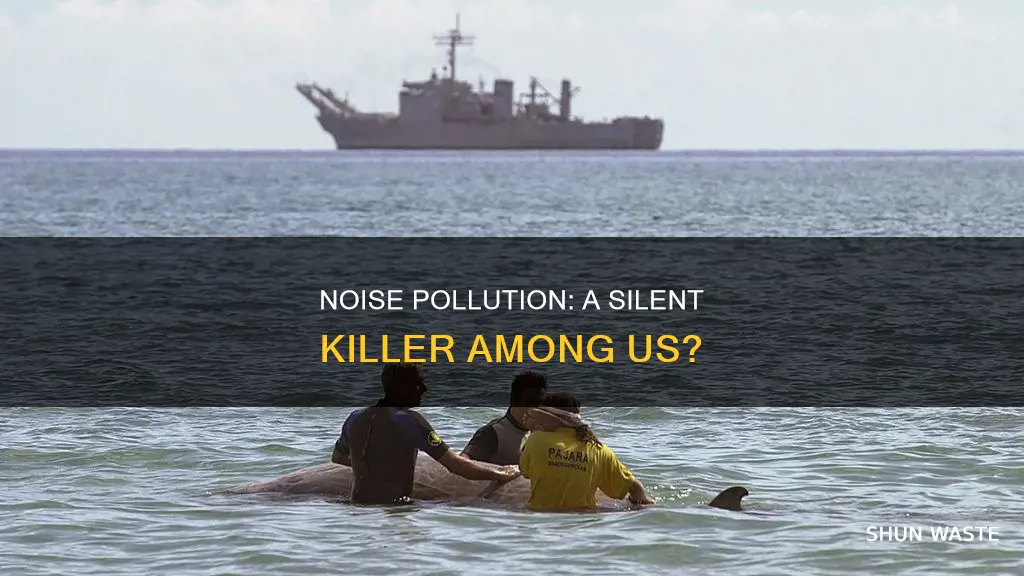 can people die from noise pollution