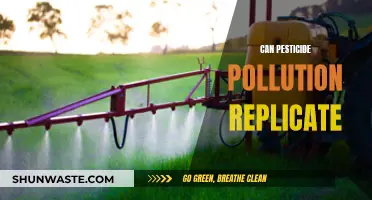 Pesticide Pollution: A Replicable Environmental Disaster?