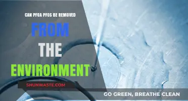 Effective Strategies to Remove PFAS: Can PFOS and PFOA Be Eliminated?