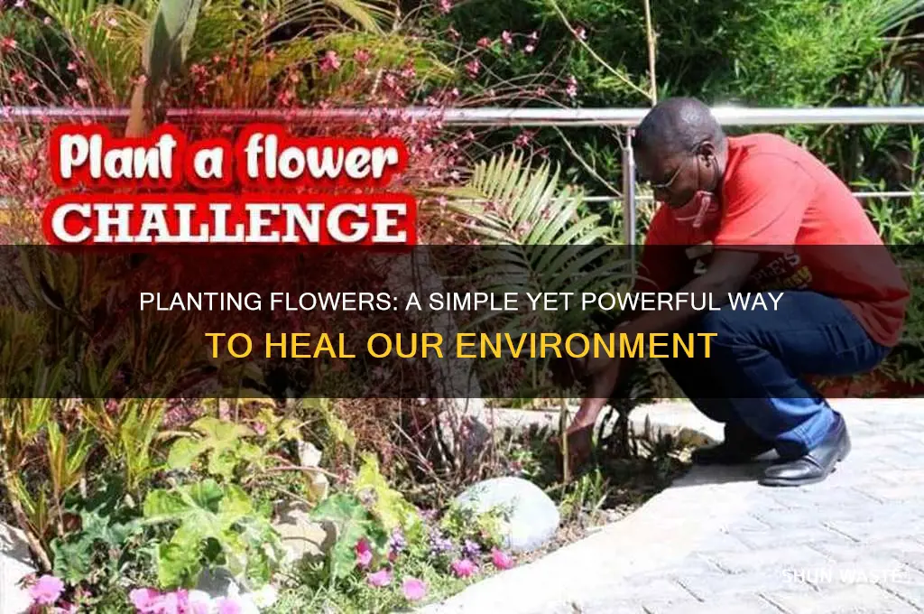 can planting flowers help the environment