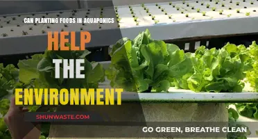 Aquaponics Food Cultivation: A Sustainable Solution for Environmental Preservation?