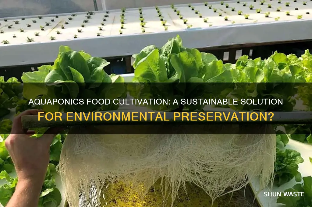 can planting foods in aquaponics help the environment