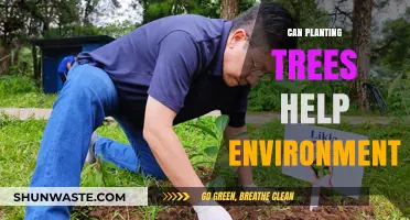 Planting Trees: A Powerful Solution for Environmental Restoration and Sustainability