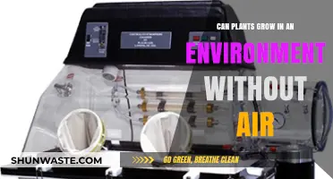 Can Plants Thrive in Airless Environments? Exploring Anaerobic Growth Possibilities
