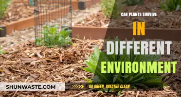 Adapting to Change: How Plants Thrive in Diverse Environments