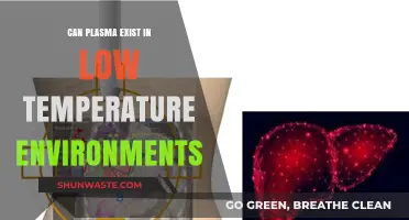 Exploring Plasma's Survival in Cold Environments: Low-Temperature Possibilities