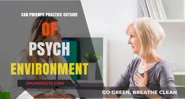 Can PMHNPs Practice Beyond Psychiatry? Exploring Diverse Healthcare Settings