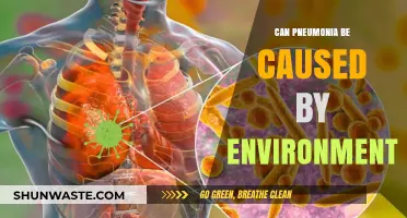 Environmental Factors and Pneumonia: Uncovering the Hidden Triggers