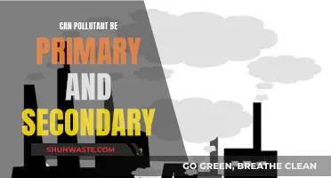 Understanding Primary and Secondary Pollutants: A Complex Issue