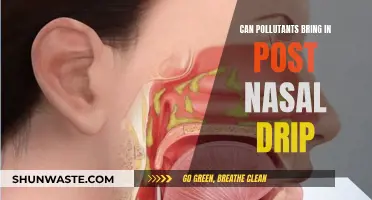 Pollutants and Post Nasal Drip: A Link?