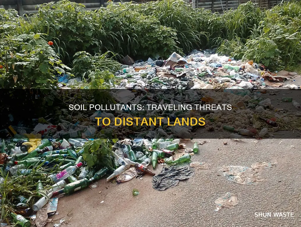 can pollutants in soil affect locations far away