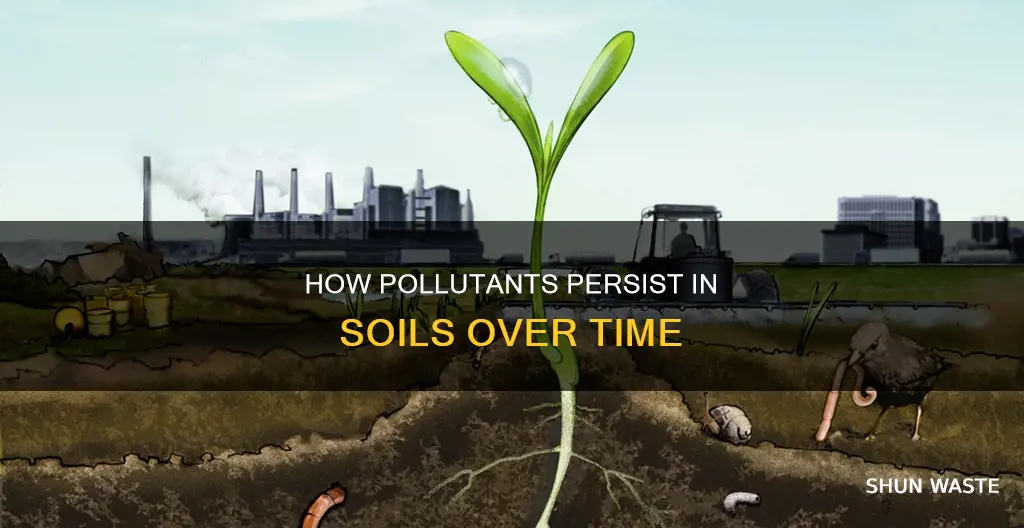 can pollutants stay in soils for a long time