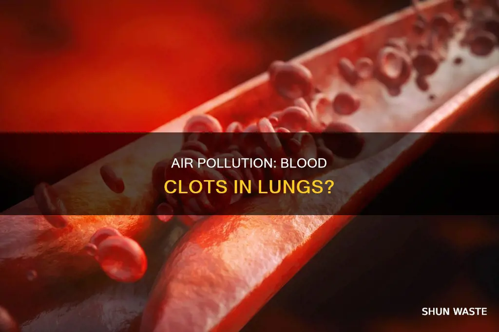 can polluted air cause blood clots in the lungs