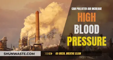 How Air Pollution Impacts Blood Pressure and Health