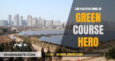 China's Green Revolution: Overcoming Pollution Challenges