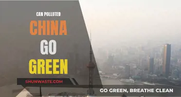 China's Green Revolution: Can It Overcome Pollution?