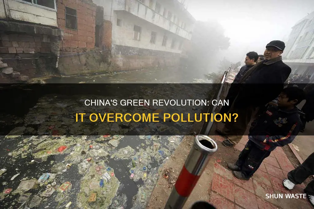 can polluted china go green