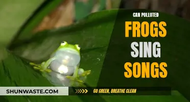 Polluted Frogs Sing Toxic Tunes