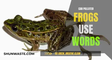 Frogs and Language: Pollution's Unexpected Impact