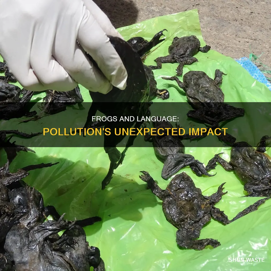 can polluted frogs use words