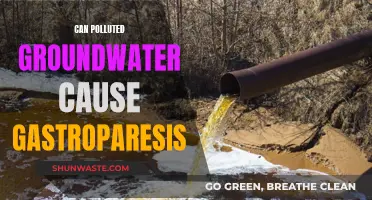 Groundwater Pollution: Gastroparesis Culprit or Innocent Bystander?