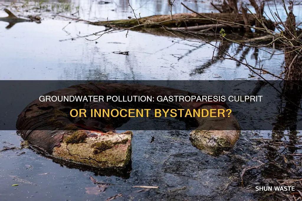 can polluted groundwater cause gastroparesis