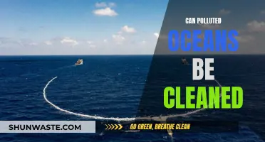 Cleaning Polluted Oceans: Is It Possible?