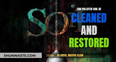 Soil Restoration: Cleaning Contaminated Earth