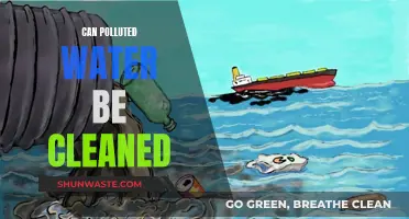 Cleaning Polluted Water: Is It Possible?