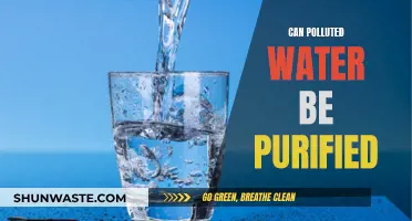 Purifying Polluted Water: Is It Possible?