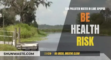 Lake Apopka's Polluted Waters: A Health Risk?