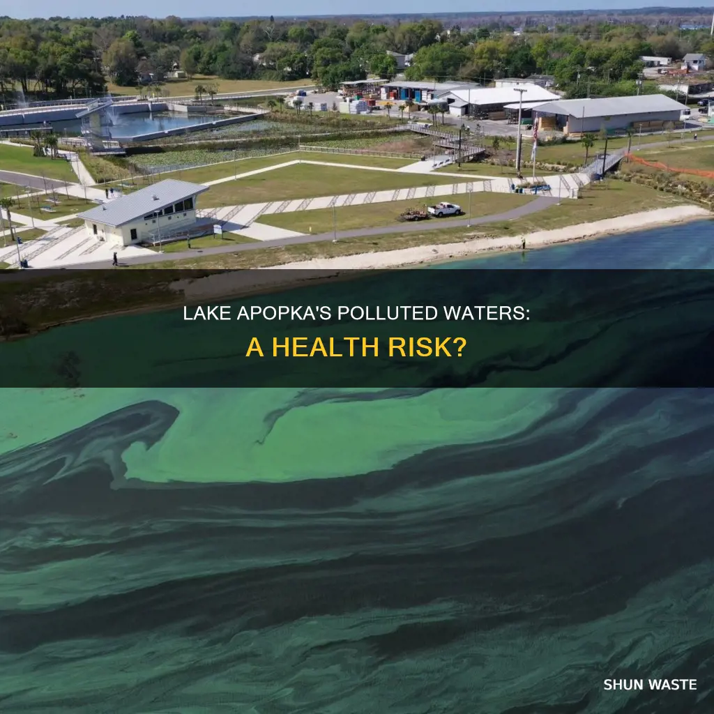 can polluted water in lake apopka be health risk