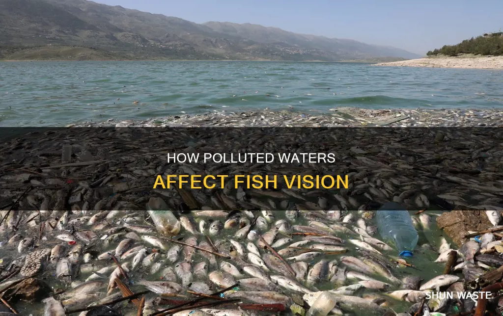 can polluted waters cause fish sight