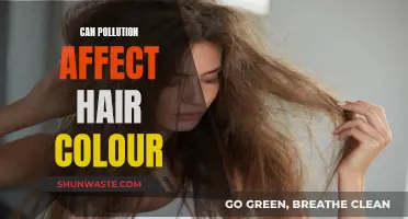 How Pollution Impacts Hair Color and Texture