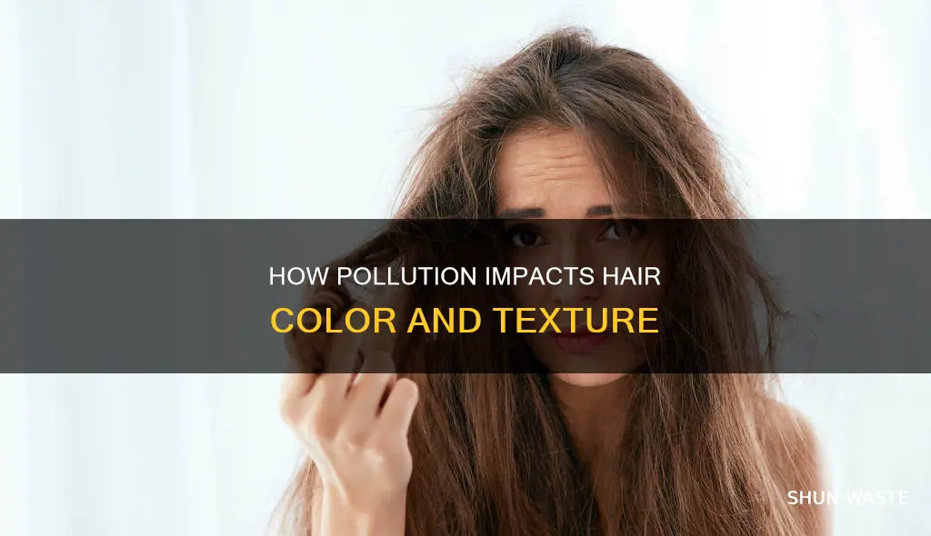 can pollution affect hair colour