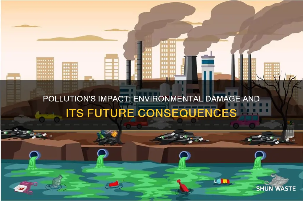 can pollution affect the environment