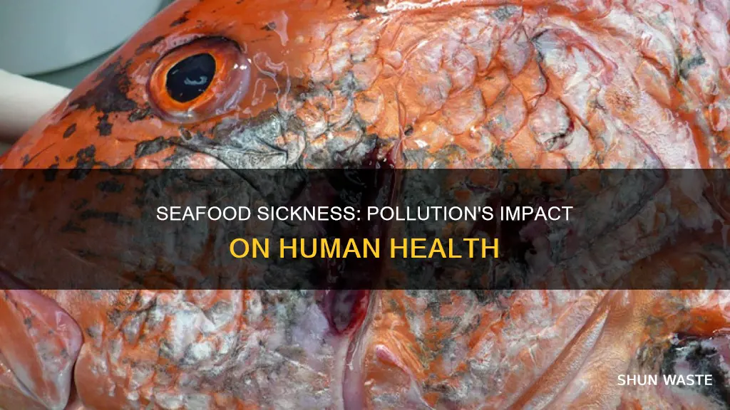 can pollution affected seafood make you sick