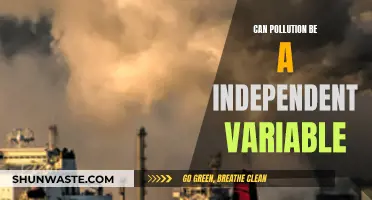 Pollution's Independence: A Variable's Intriguing Identity