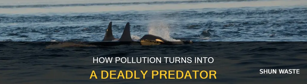 can pollution be a predators